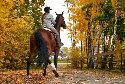 Fun Horseback Riding in Gatlinburg
