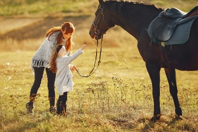 Leasing a Horse - Is it Right For Your Family?